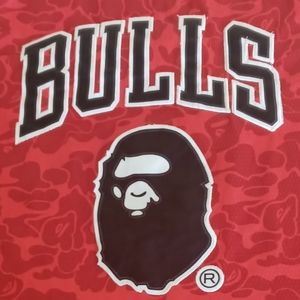 Bape Chicago Bulls Jersey